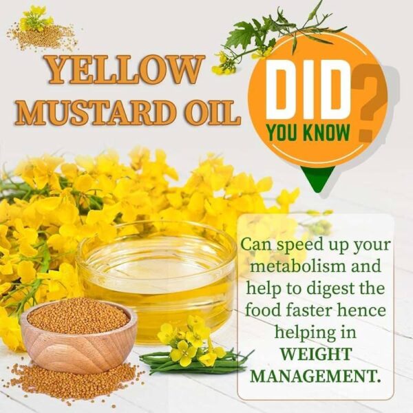 YELLOW-MUSTARD-OIL-BENIFITS