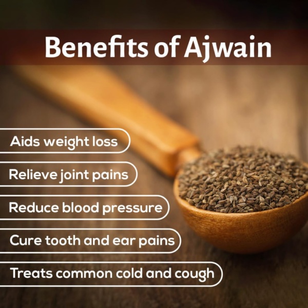 HI AJWAIN 100GM 2